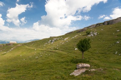 Italian Alps, South Tyrol